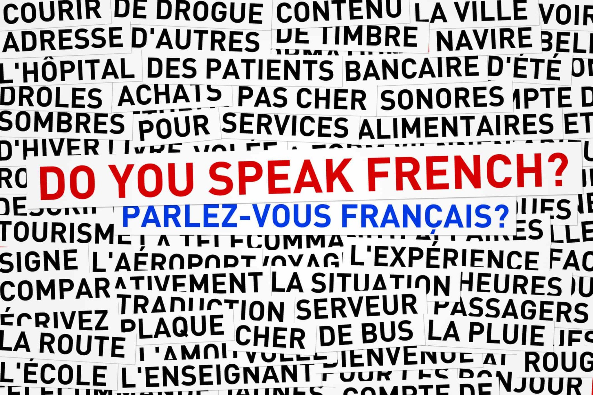 Bilingual & French Speakers Now Get Bonus Points In Express Entry ITC