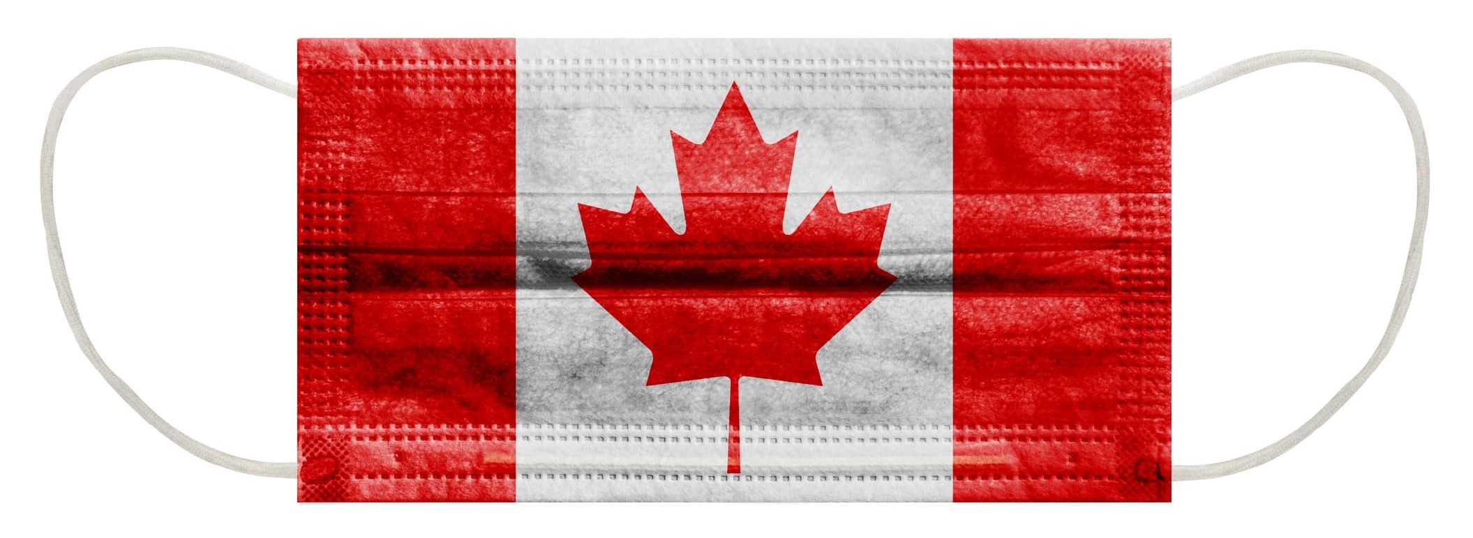 The Toll Of COVID-19 On Canada’s Permanent Residency Services