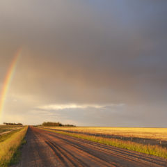 Saskatchewan Invites 502 Candidates in Second Draw of 2021