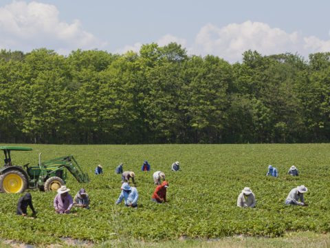 Migrant Agricultural Workers to be Offered Vaccine at Trudeau Airport